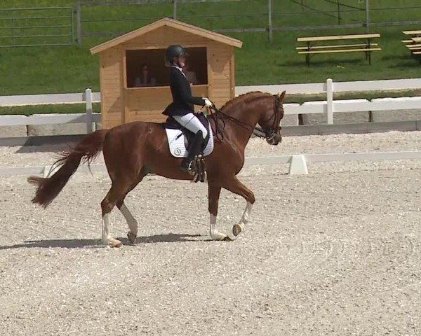 Reitturnier Gut Bohmerhof-Wackersberg/Obb. 2024