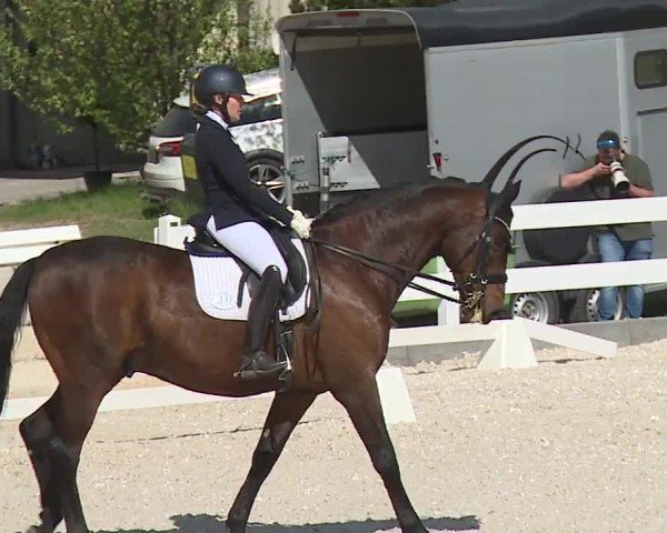 Reitturnier Gut Bohmerhof-Wackersberg/Obb. 2024