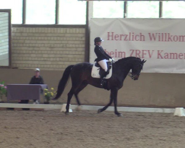 Reitturnier Kamen 2024