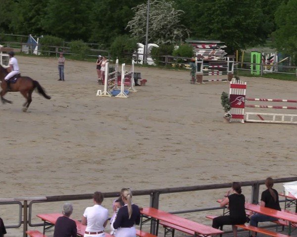 Reitturnier Kamen 2024