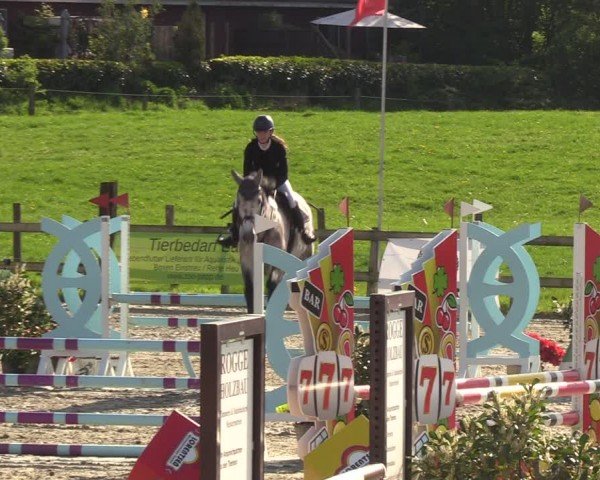 Reitturnier Looperholzer Turniertage 2024