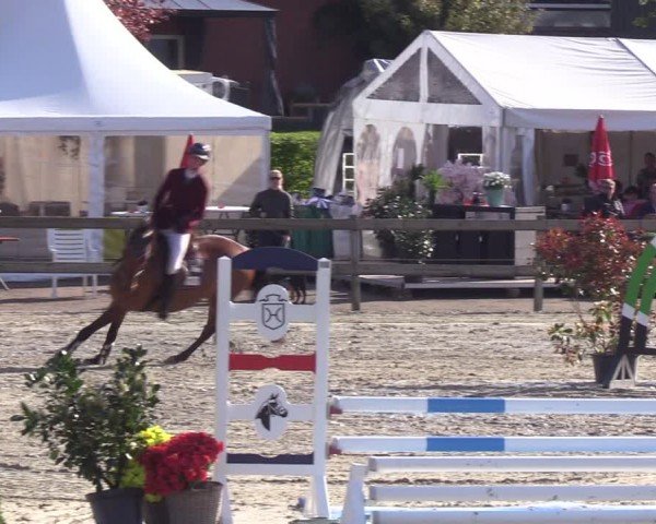 Reitturnier Looperholzer Turniertage 2024