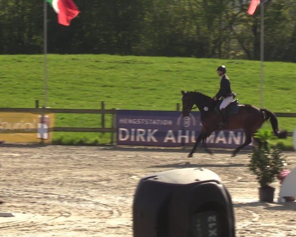 Reitturnier Looperholzer Turniertage 2024