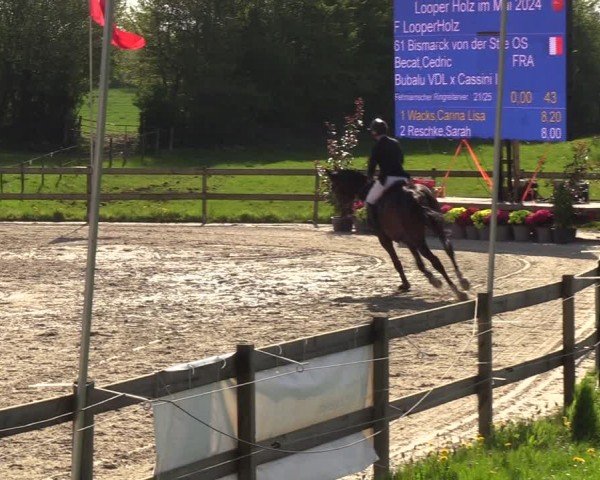 Reitturnier Looperholzer Turniertage 2024