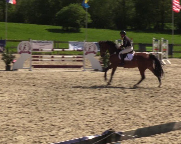 Reitturnier Looperholzer Turniertage 2024