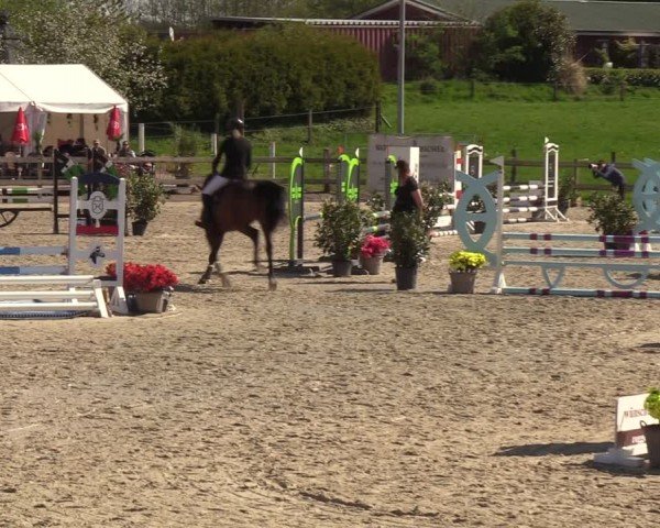 Reitturnier Looperholzer Turniertage 2024