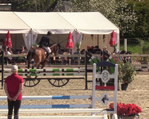 Reitturnier Looperholzer Turniertage 2024