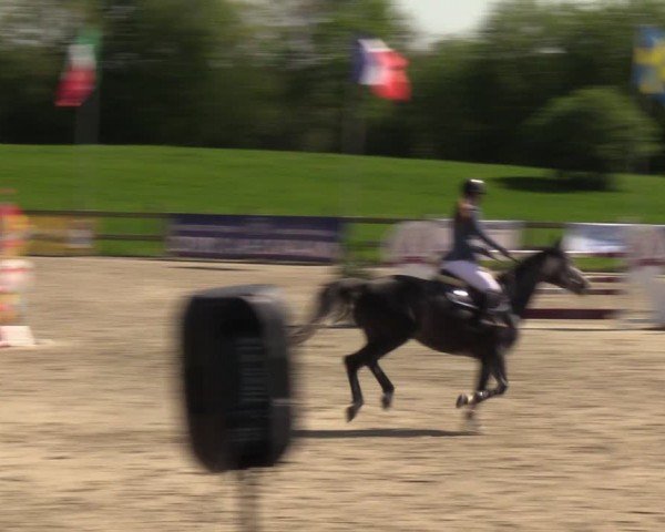 Reitturnier Looperholzer Turniertage 2024