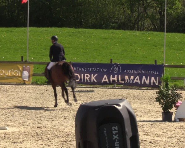 Reitturnier Looperholzer Turniertage 2024