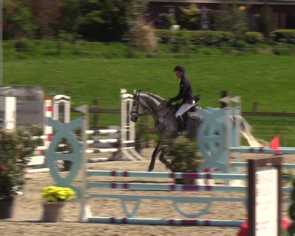 Reitturnier Looperholzer Turniertage 2024