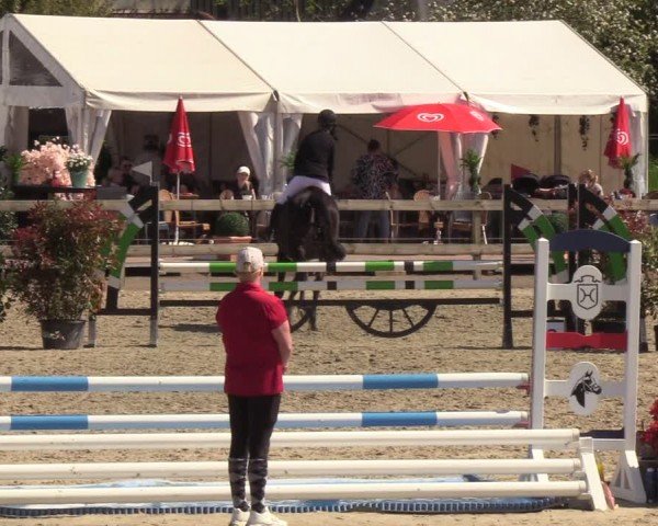 Reitturnier Looperholzer Turniertage 2024