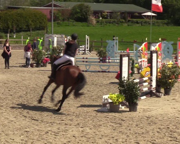 Reitturnier Looperholzer Turniertage 2024
