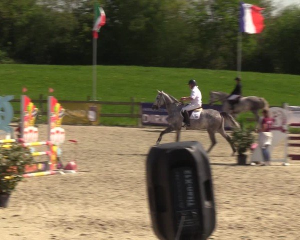 Reitturnier Looperholzer Turniertage 2024