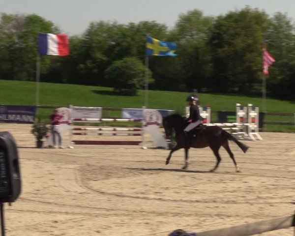 Reitturnier Looperholzer Turniertage 2024