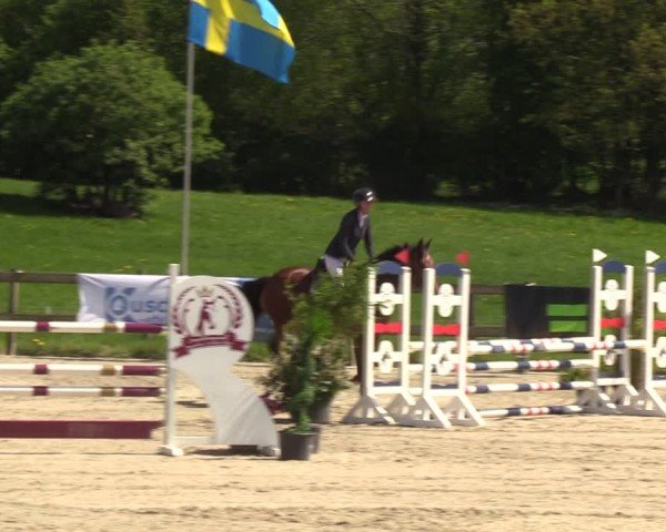 Reitturnier Looperholzer Turniertage 2024