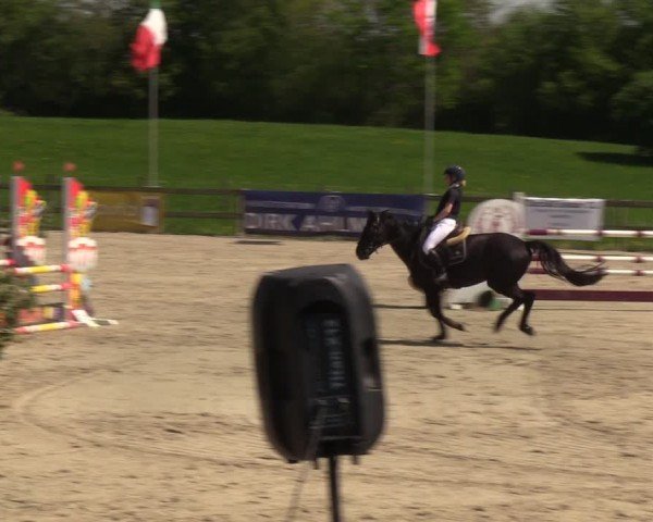 Reitturnier Looperholzer Turniertage 2024