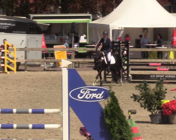 Reitturnier Looperholzer Turniertage 2024