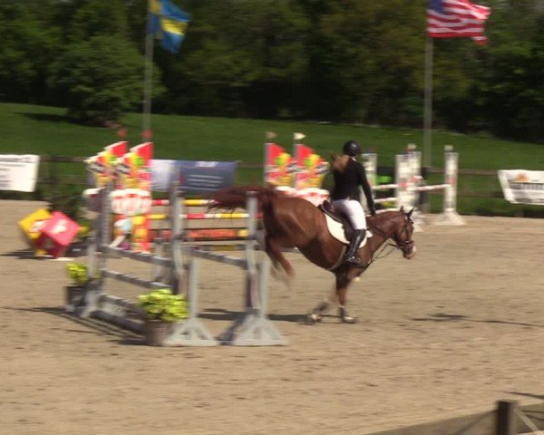 Reitturnier Looperholzer Turniertage 2024