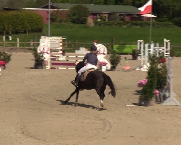 Reitturnier Looperholzer Turniertage 2024