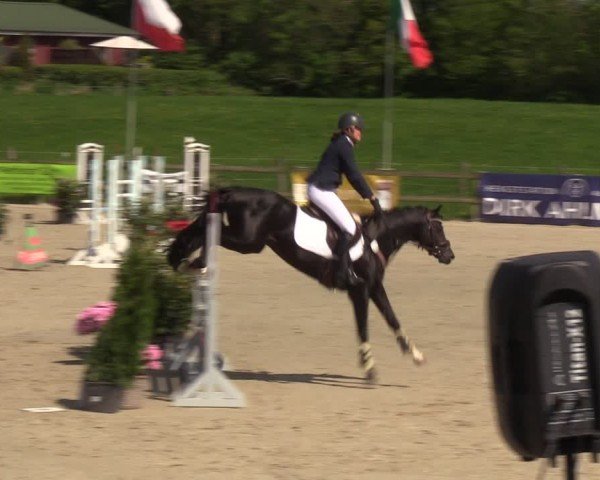 Reitturnier Looperholzer Turniertage 2024