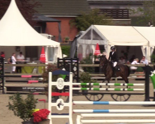 Reitturnier Looperholzer Turniertage 2024