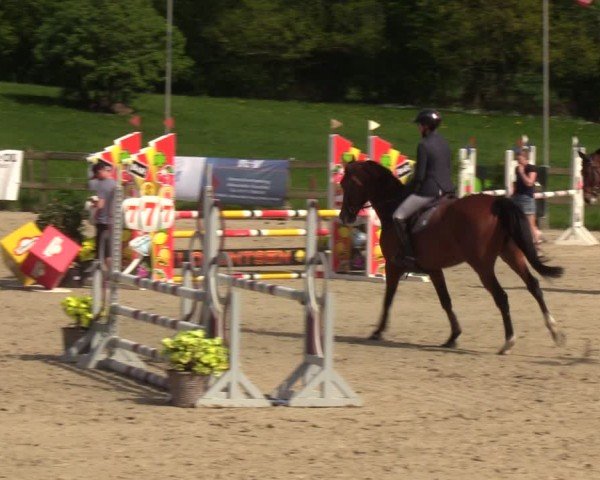 Reitturnier Looperholzer Turniertage 2024