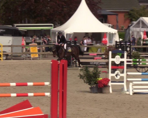 Reitturnier Looperholzer Turniertage 2024