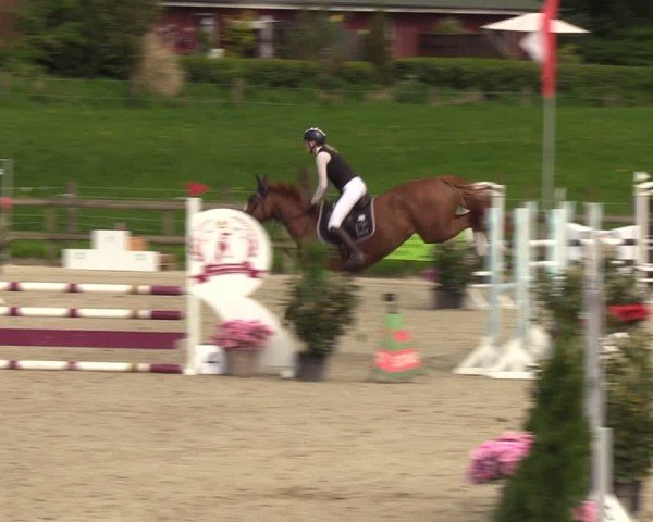 Reitturnier Looperholzer Turniertage 2024