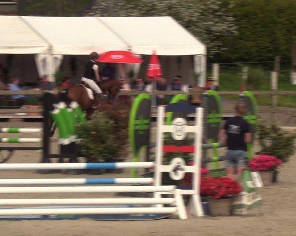 Reitturnier Looperholzer Turniertage 2024