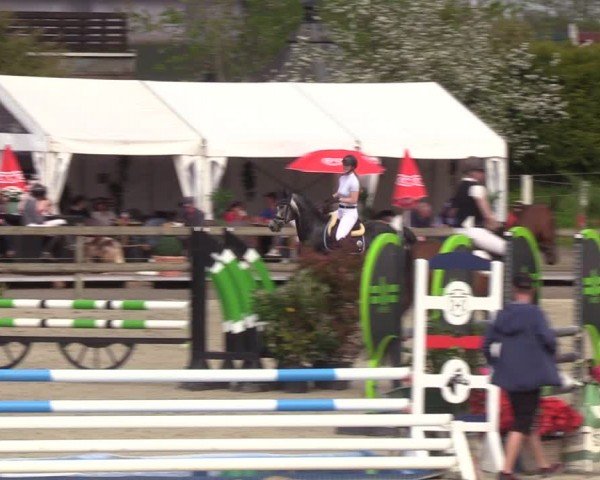 Reitturnier Looperholzer Turniertage 2024