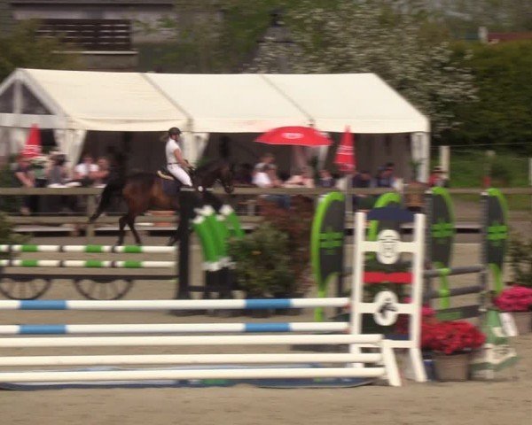Reitturnier Looperholzer Turniertage 2024