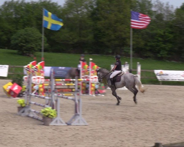 Reitturnier Looperholzer Turniertage 2024