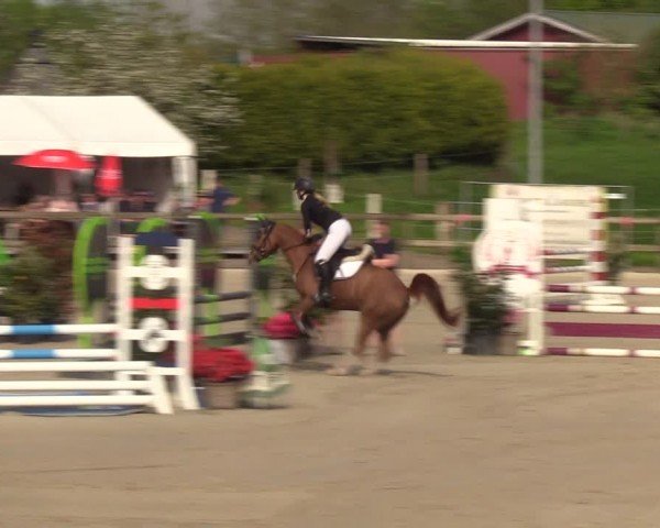 Reitturnier Looperholzer Turniertage 2024