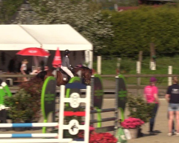 Reitturnier Looperholzer Turniertage 2024