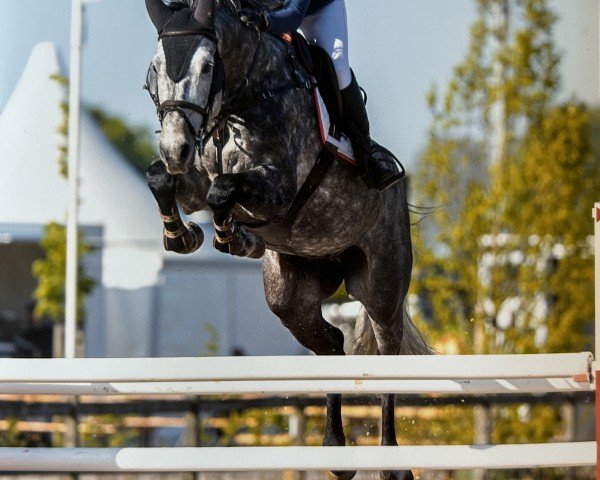 jumper Clearmint (Holsteiner, 2018, from Clearway)