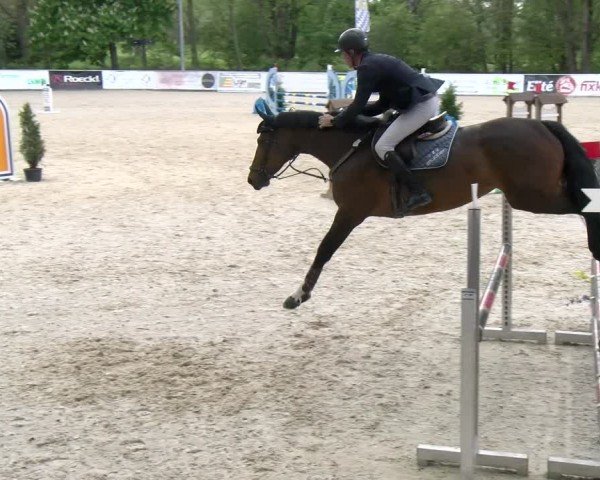 Reitturnier Karlsfeld/Obb. 2024