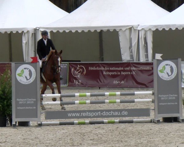 Reitturnier Karlsfeld/Obb. 2024