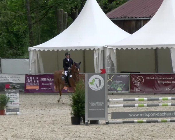 Reitturnier Karlsfeld/Obb. 2024