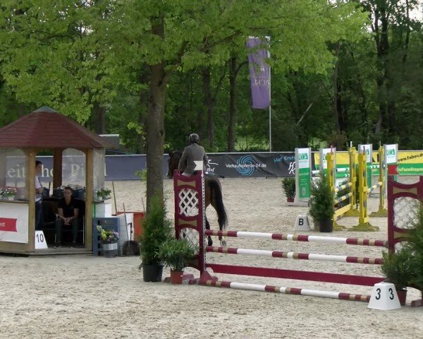 Reitturnier Karlsfeld/Obb. 2024