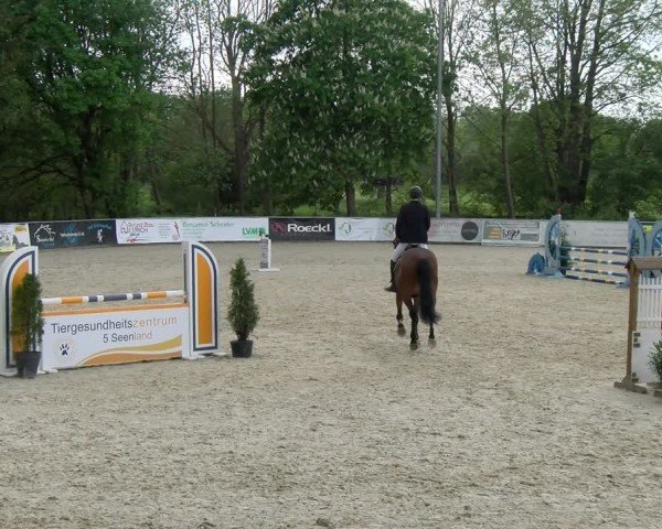 Reitturnier Karlsfeld/Obb. 2024