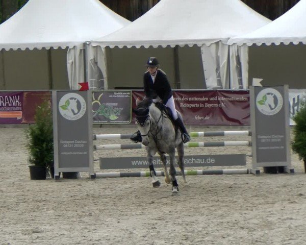 Reitturnier Karlsfeld/Obb. 2024