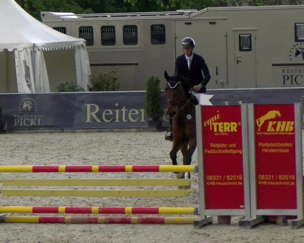 Reitturnier Karlsfeld/Obb. 2024