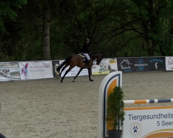 Reitturnier Karlsfeld/Obb. 2024