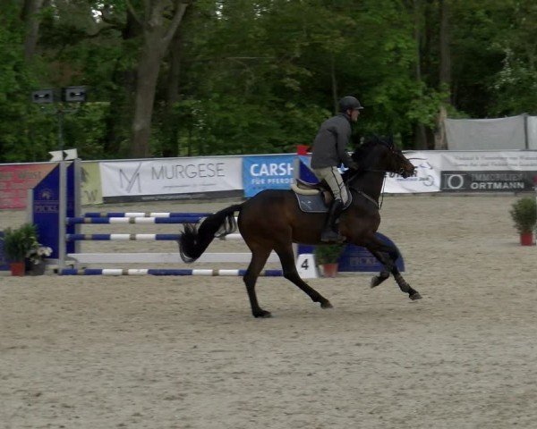 Reitturnier Karlsfeld/Obb. 2024
