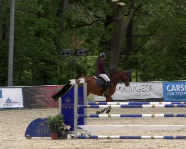 Reitturnier Karlsfeld/Obb. 2024