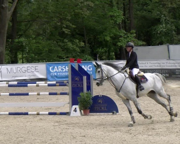 Reitturnier Karlsfeld/Obb. 2024