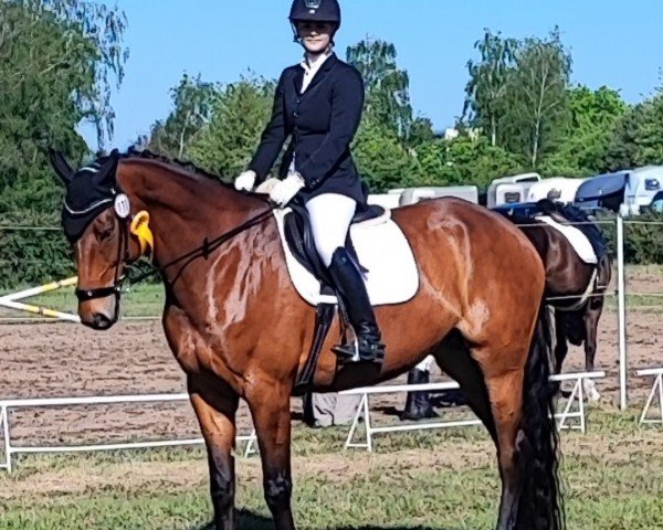 broodmare Lady Lissaro (Hanoverian, 2013, from Lissaro) broodmare Lady Lissaro (Hanoverian, 2013, from Lissaro)