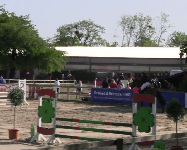 Rideturnering Hildesheim-Steuerwald 2024