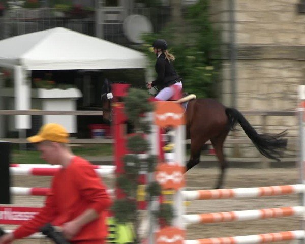 Reitturnier Hildesheim-Steuerwald 2024