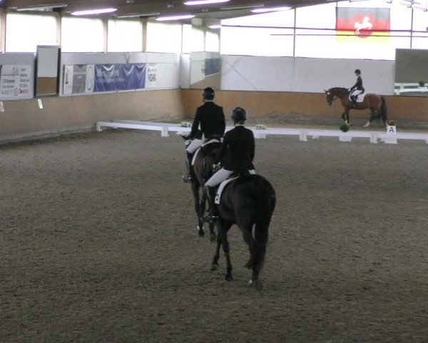 Reitturnier Hildesheim-Steuerwald 2024